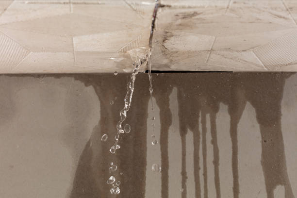 Professional Burst Pipe Cleanup technician working in Bernalillo, NM